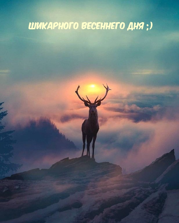 Шикарного весеннего дня ;)