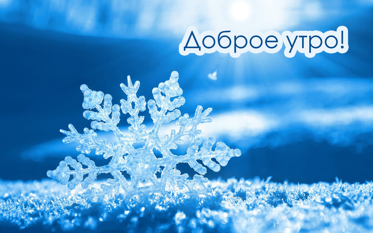 Доброе утро!