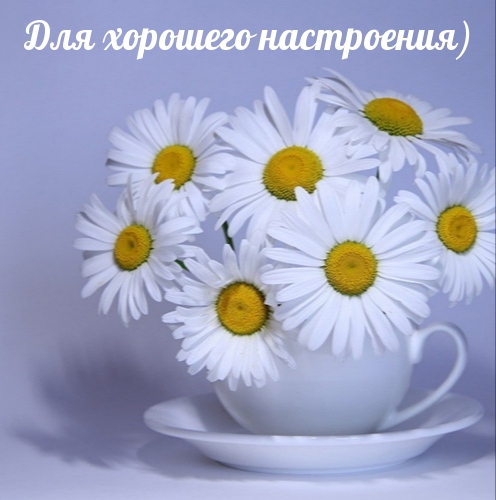 Для хорошего настроения)