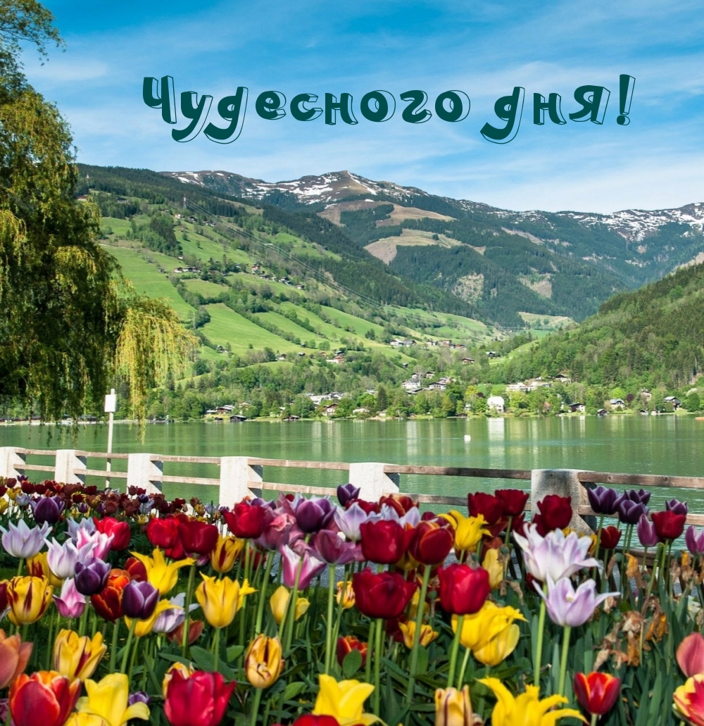Чудесного дня!