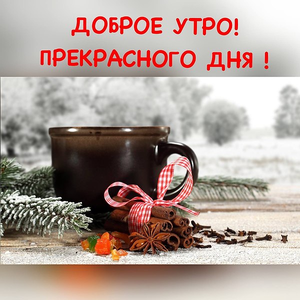 Доброе утро и прекрасного дня!