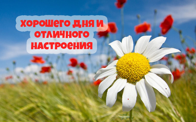 Хорошего дня и отличного настроения!