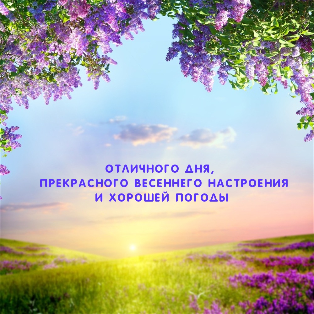 Отличного дня, прекрасного весеннего настроения И хорошей погоды