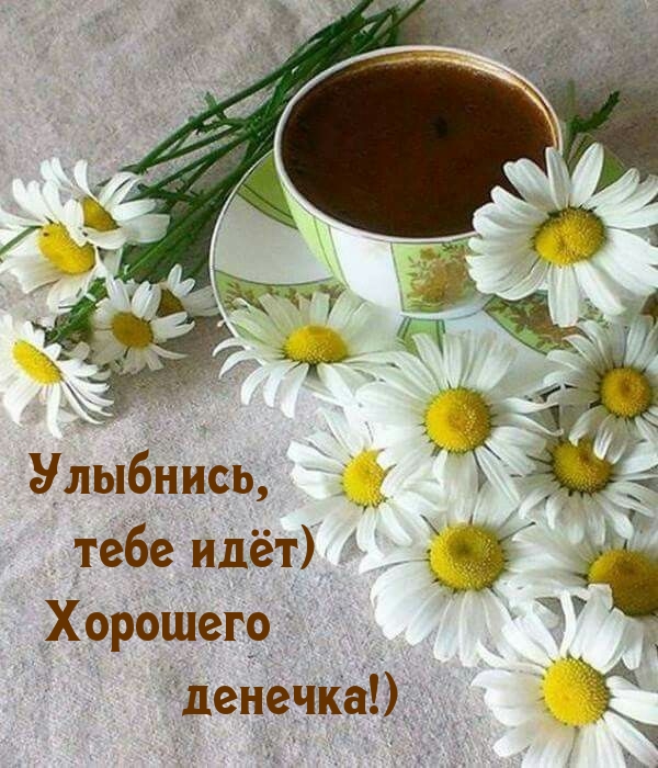 Улыбнись, тебе идёт) Хорошего денечка!)
