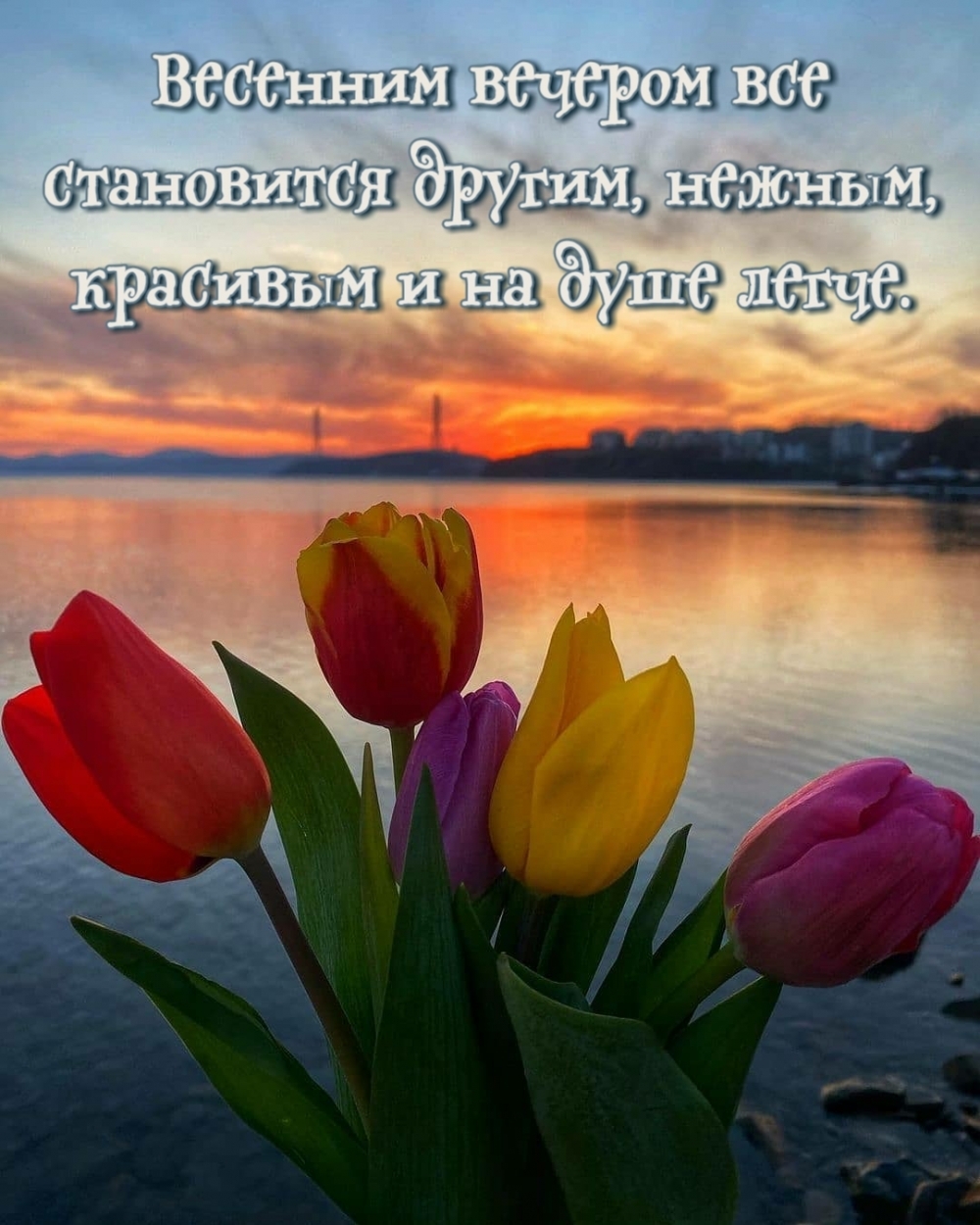 Весенним вечером все становится другим, нежным