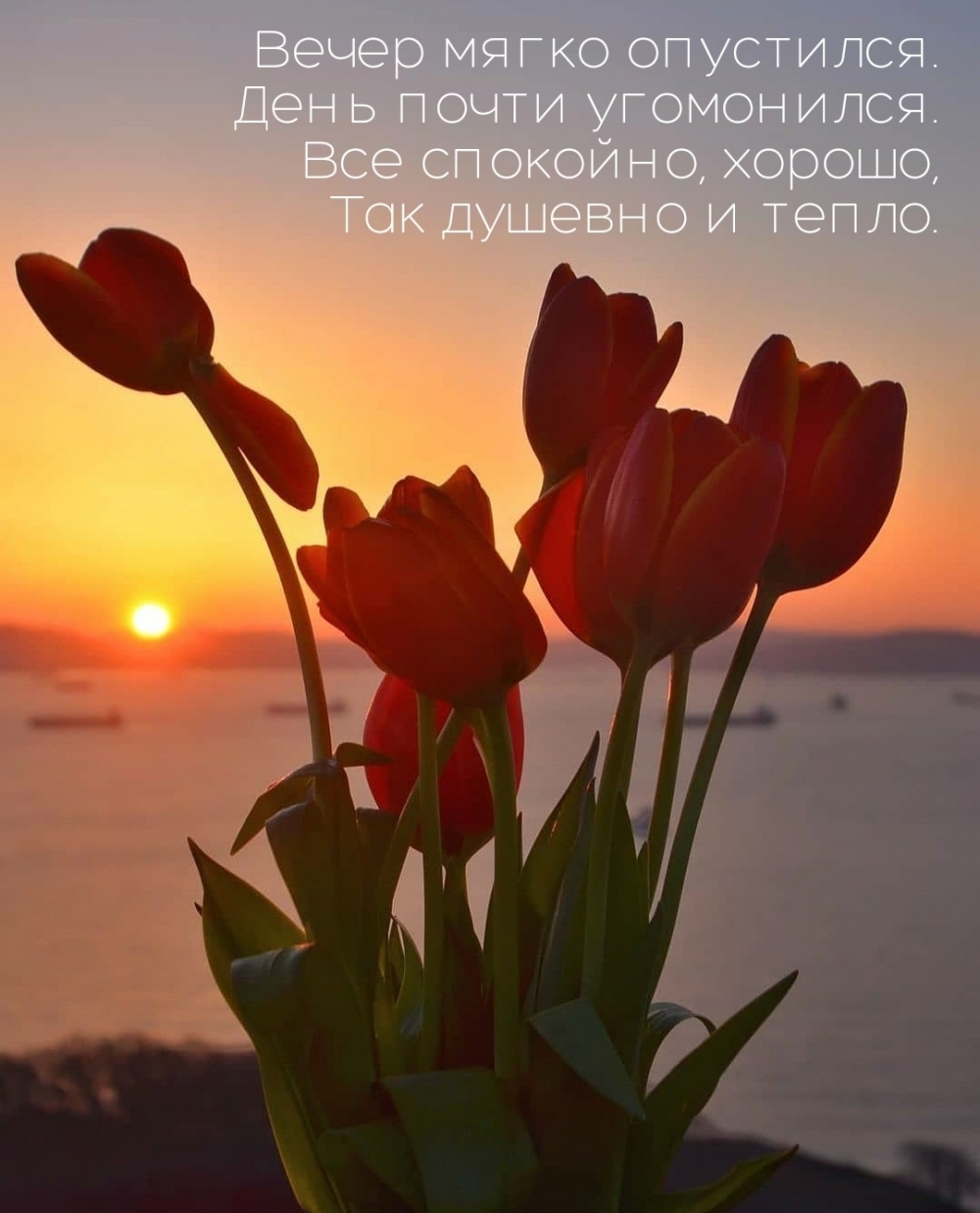 Вечер мягко опустился. День почти угомонился.