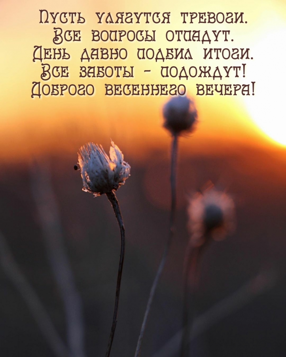 Все заботы — подождут! Доброго весеннего вечера!