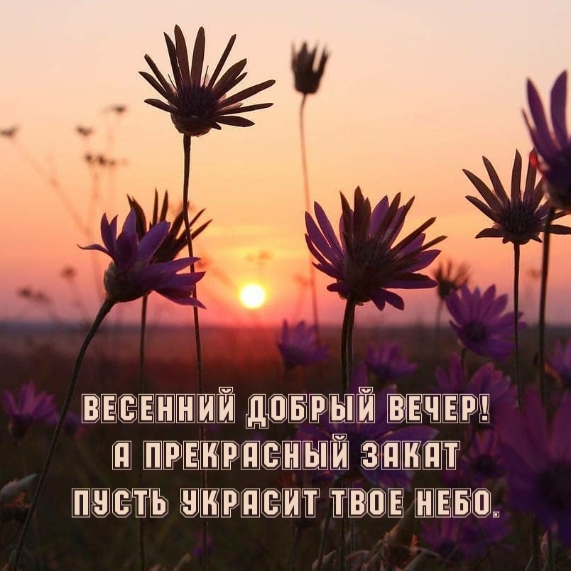 А прекрасный закат пусть украсит твое небо.