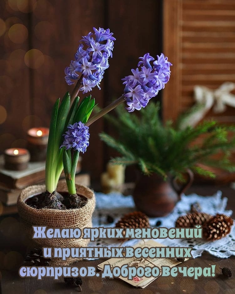 Желаю ярких мгновений. Доброго вечера!
