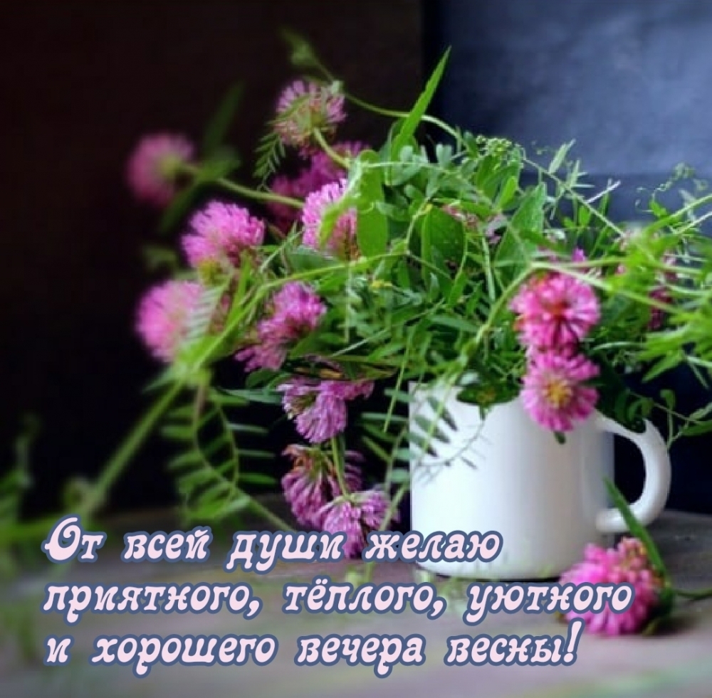 От всей души желаю приятного вечера весны!