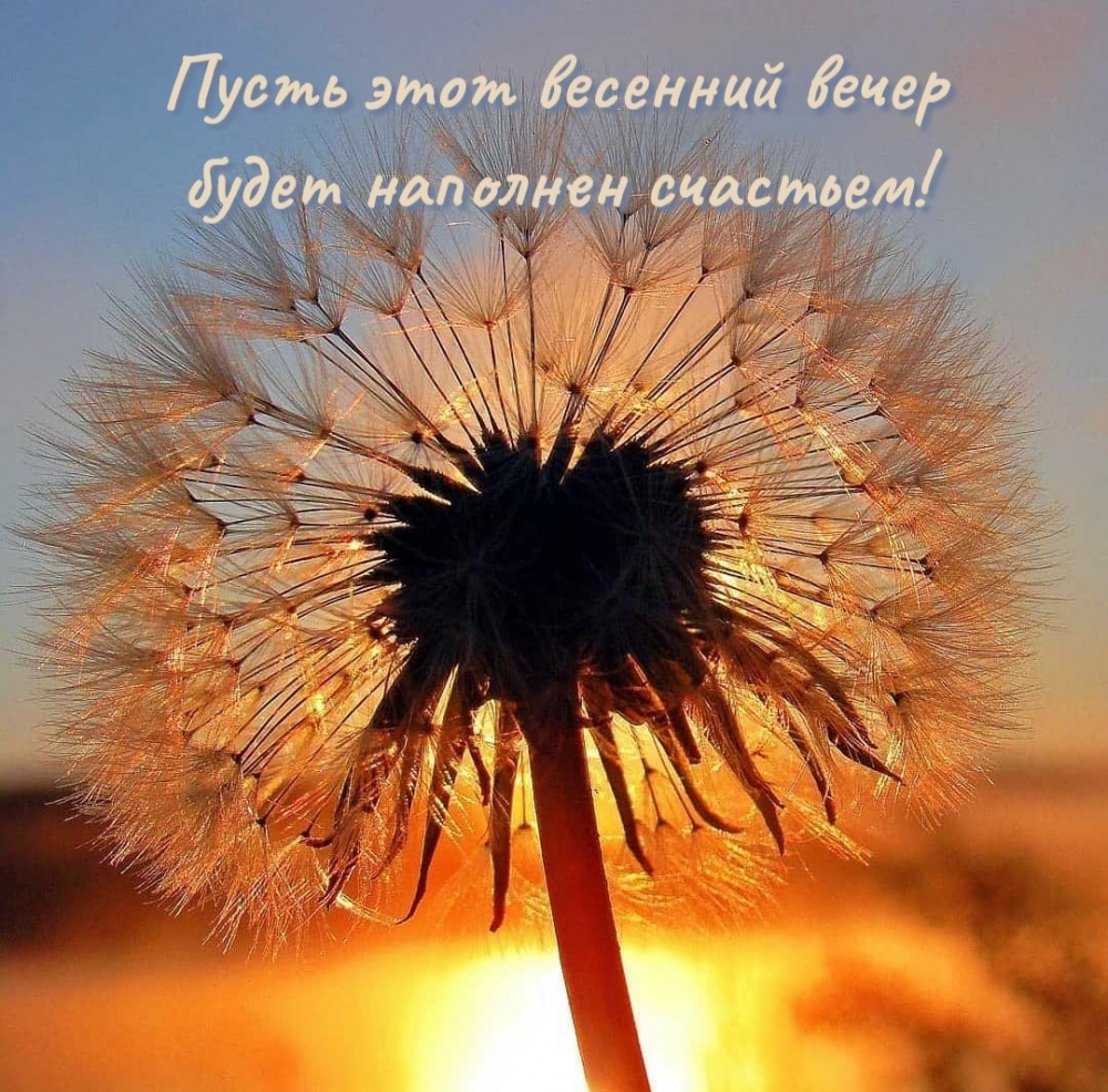 Пусть этот весенний вечер будет наполнен счастьем!