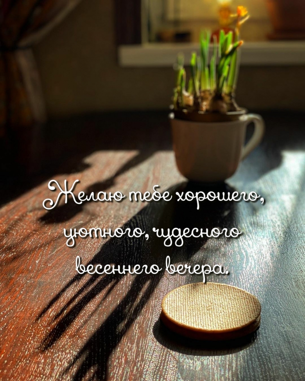 Желаю тебе хорошего, уютного, чудесного весеннего вечера.