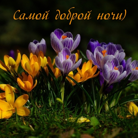 Самой доброй ночи)