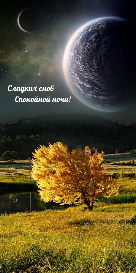 Сладких снов Спокойной ночи!