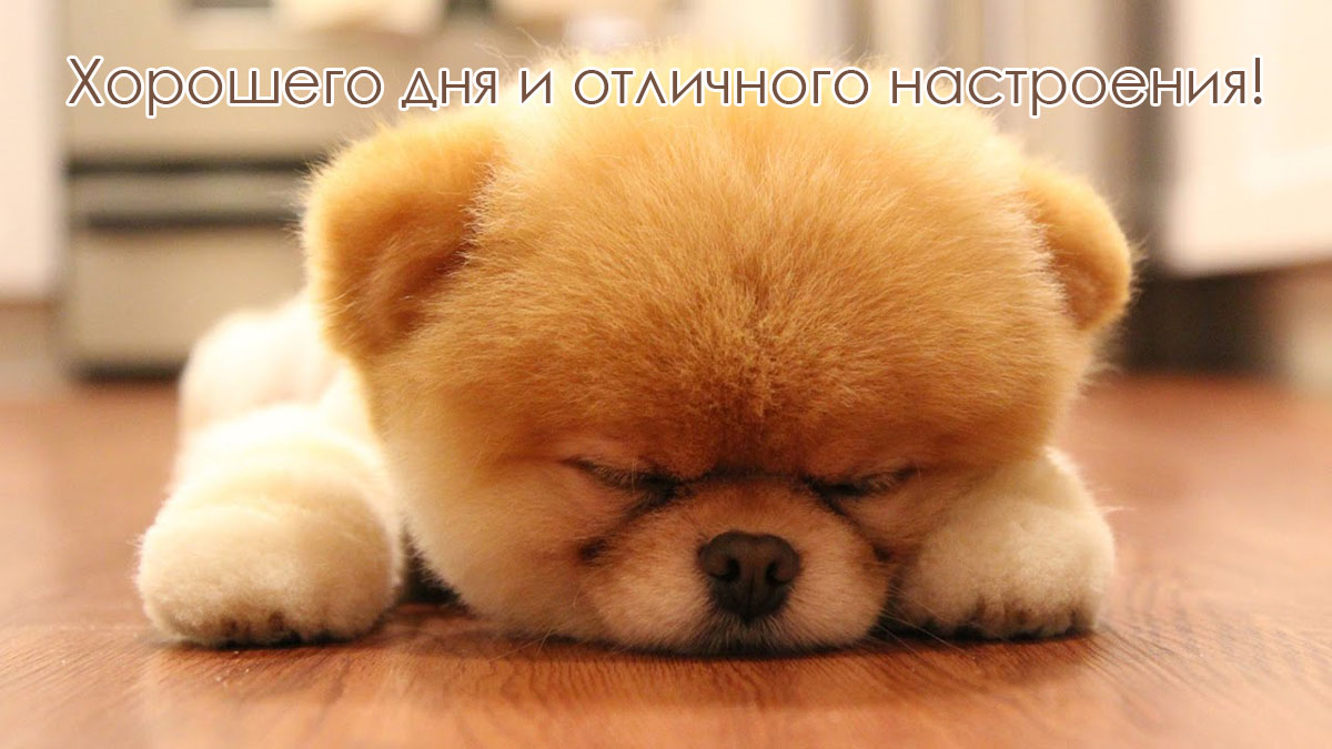 Хорошего дня и отличного настроения!