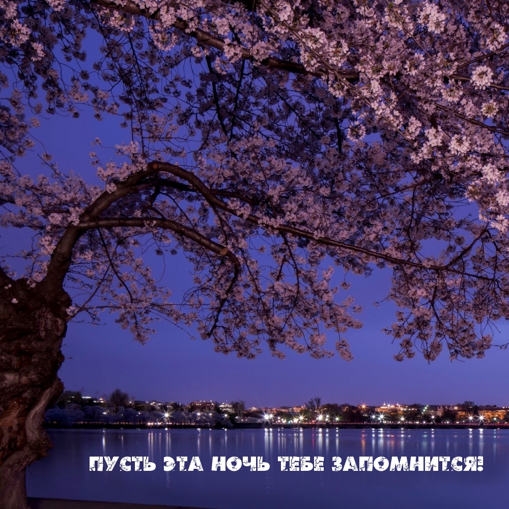 Пусть эта ночь тебе запомнится!