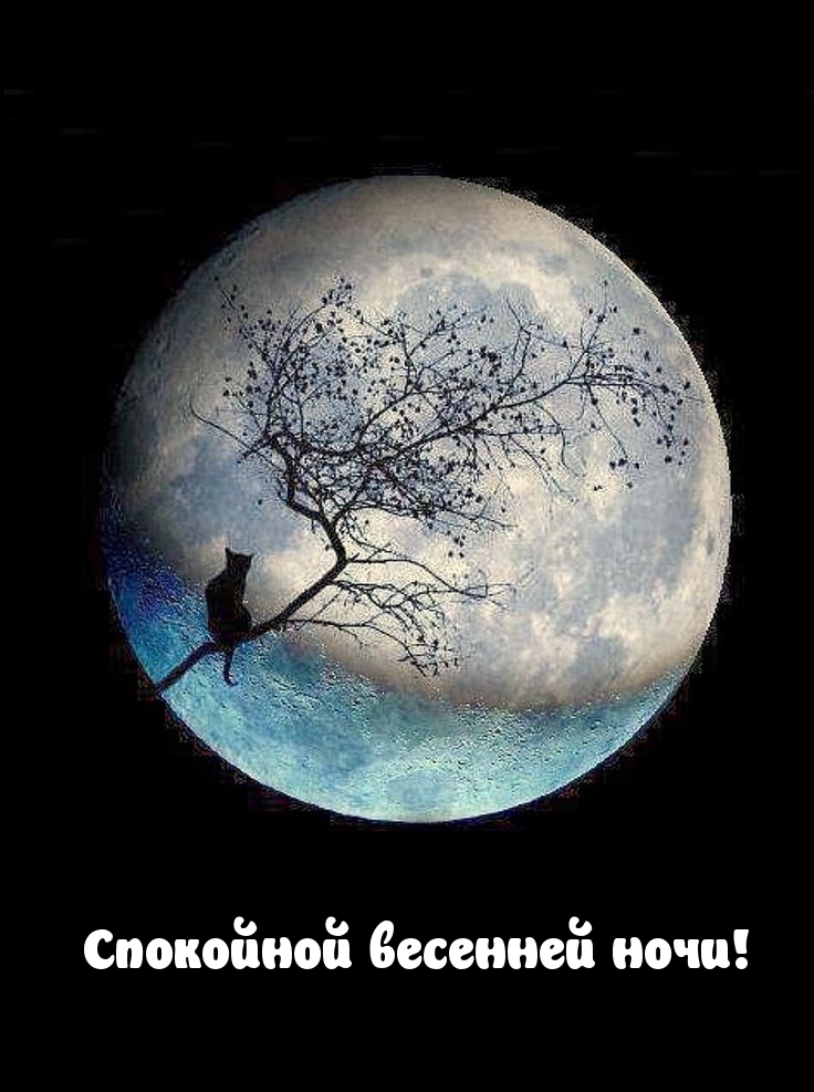 Спокойной весенней ночи!