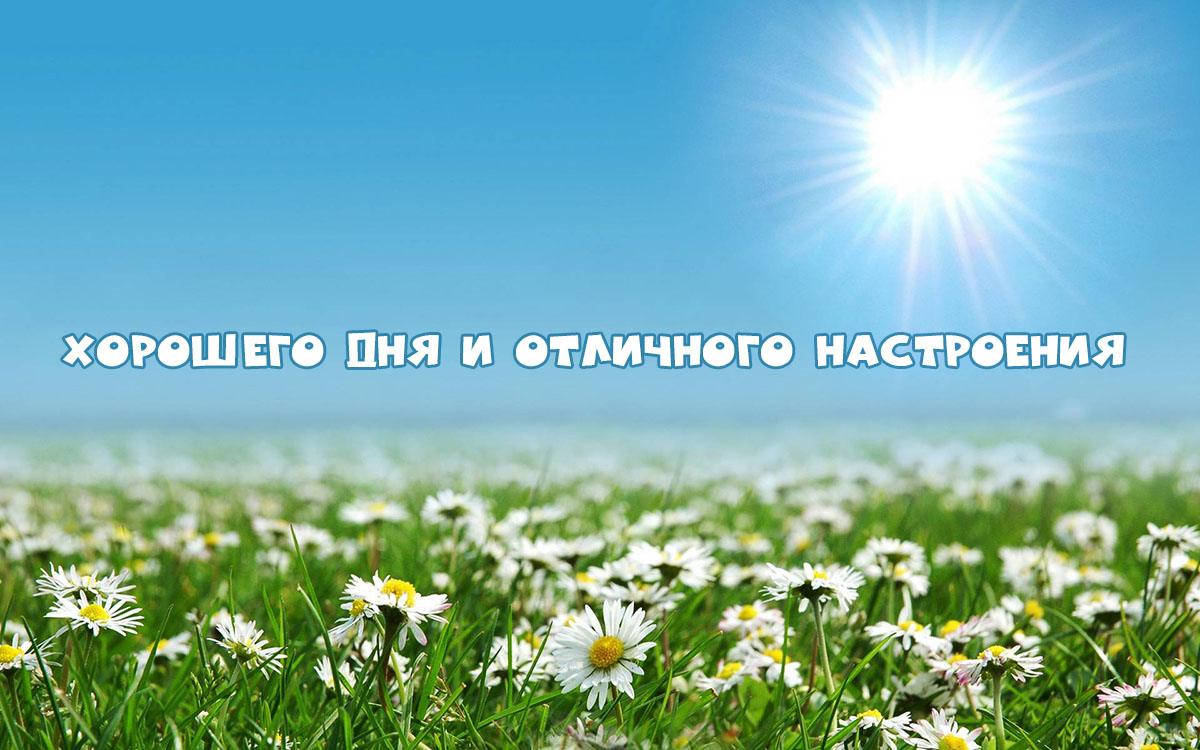 Хорошего дня и отличного настроения
