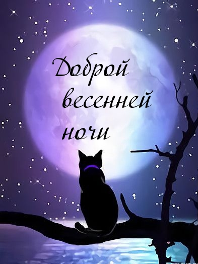 Доброй весенней ночи