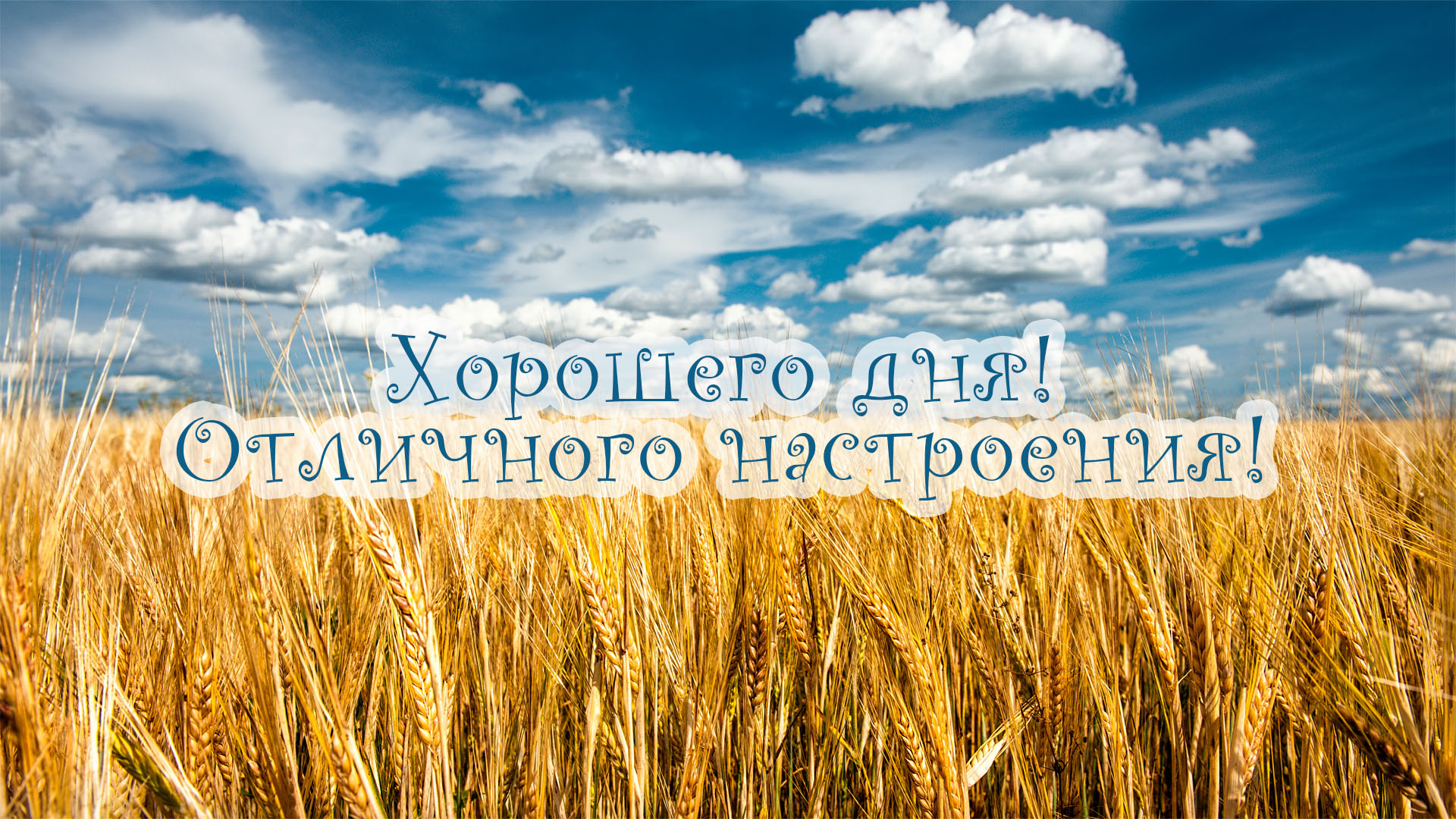 Хорошего дня и отличного настроения!