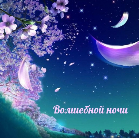 Волшебной ночи