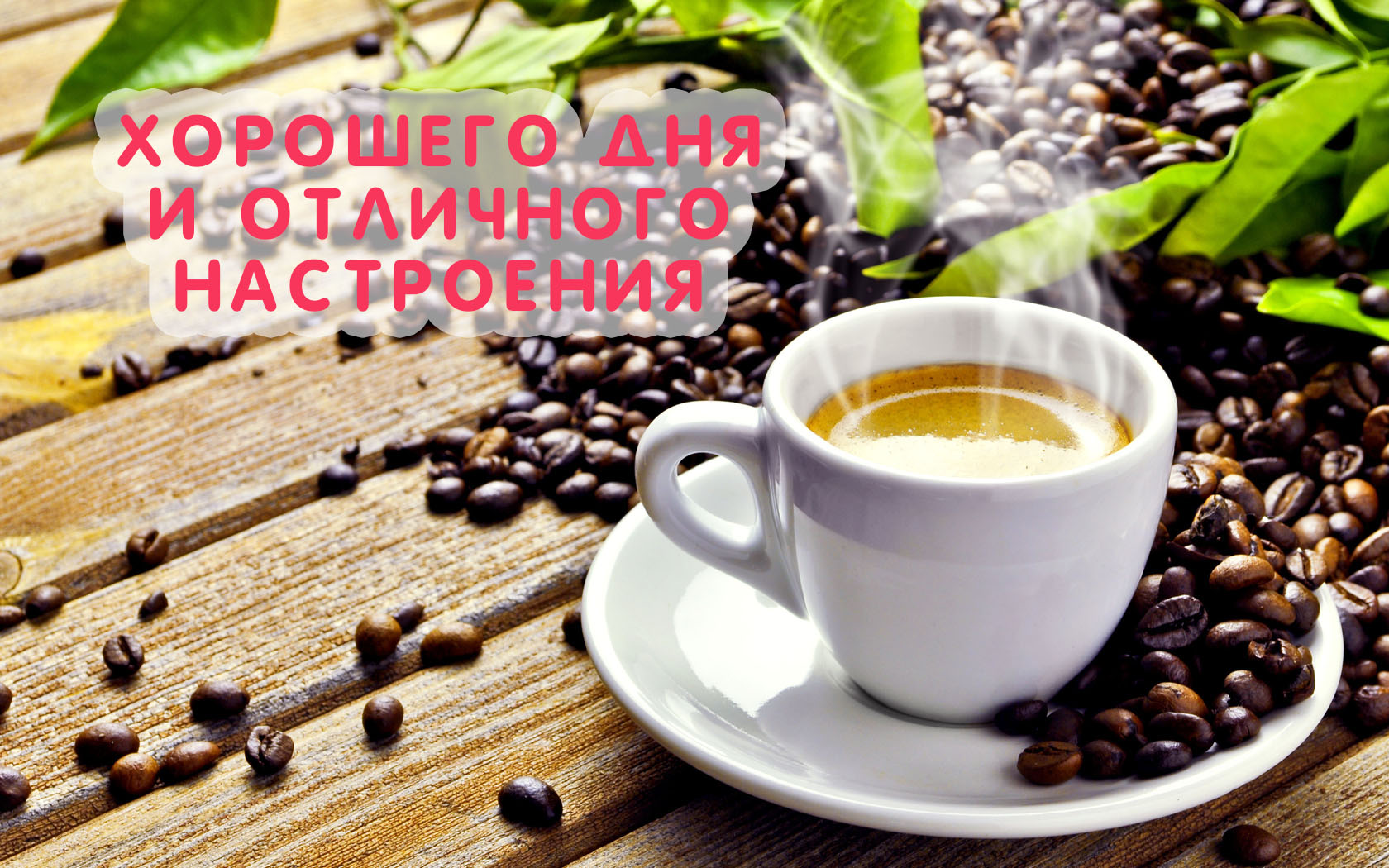 Хорошего дня и отличного настроения!