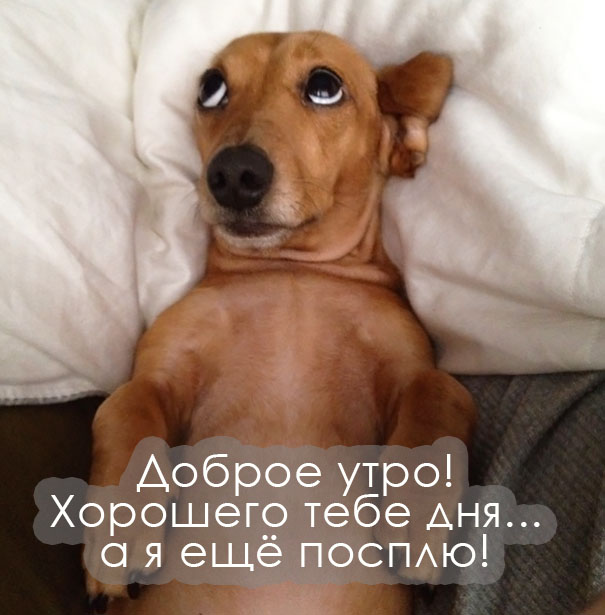Доброе утро! Хорошего дня!