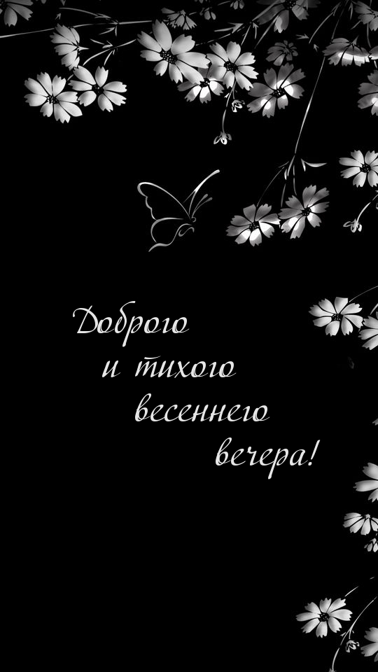 Доброго и тихого весеннего вечера!