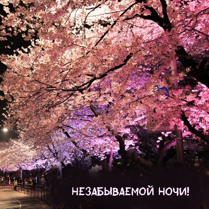Незабываемой ночи!