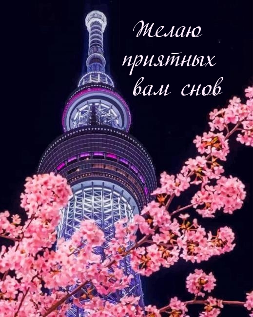 Желаю приятных вам снов