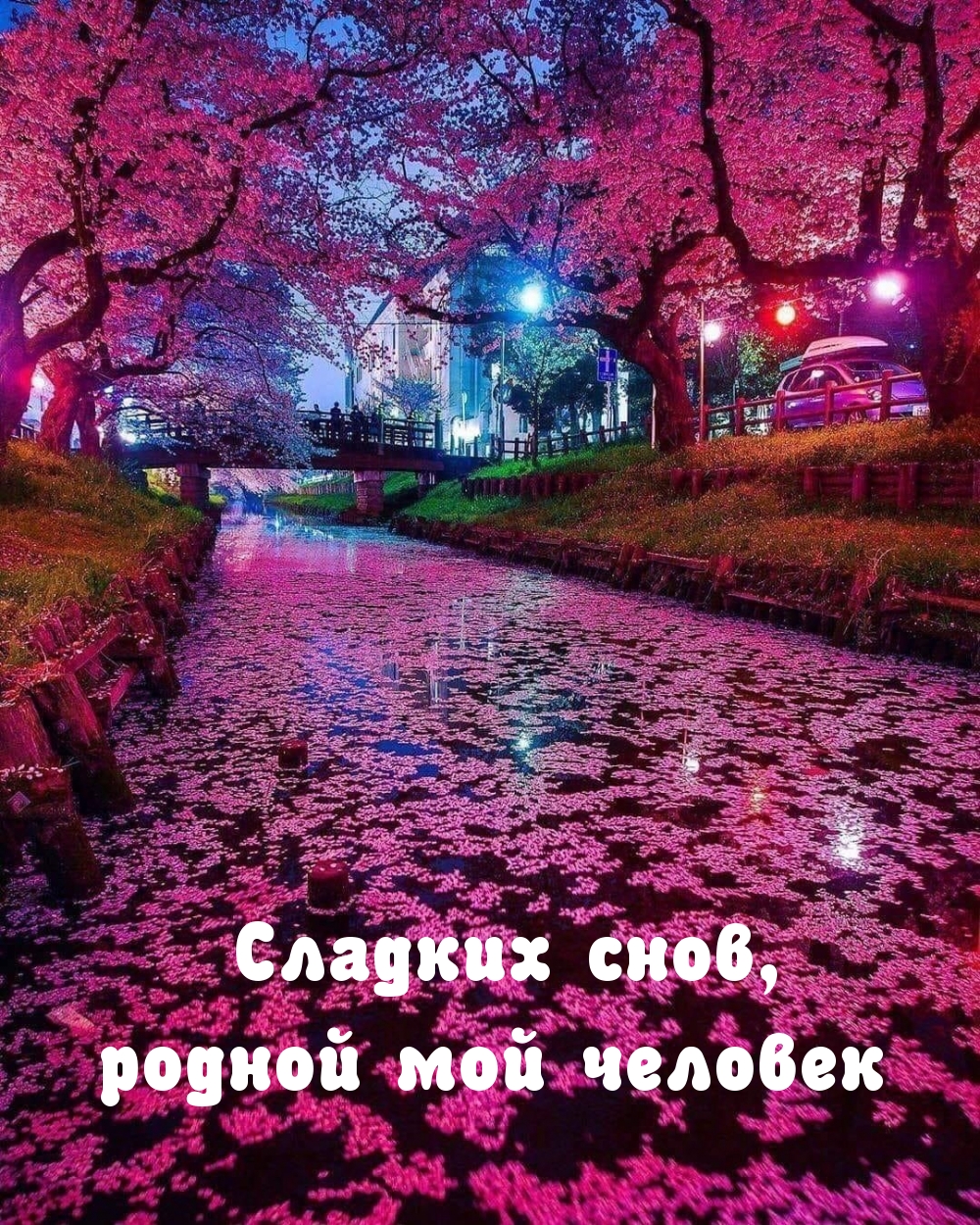 Сладких снов, родной мой человек