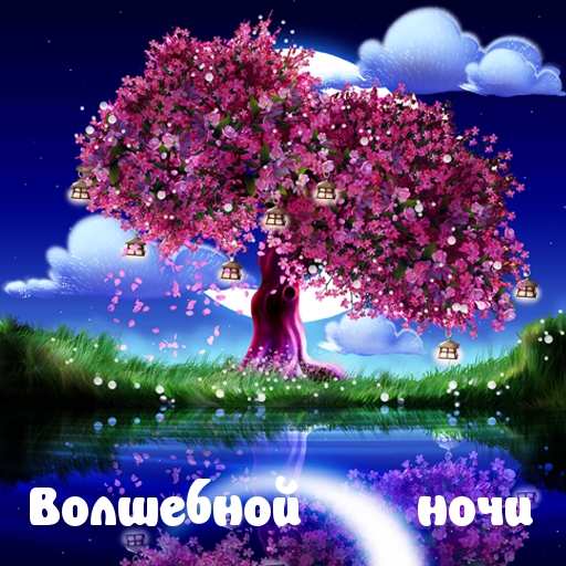 Волшебной ночи
