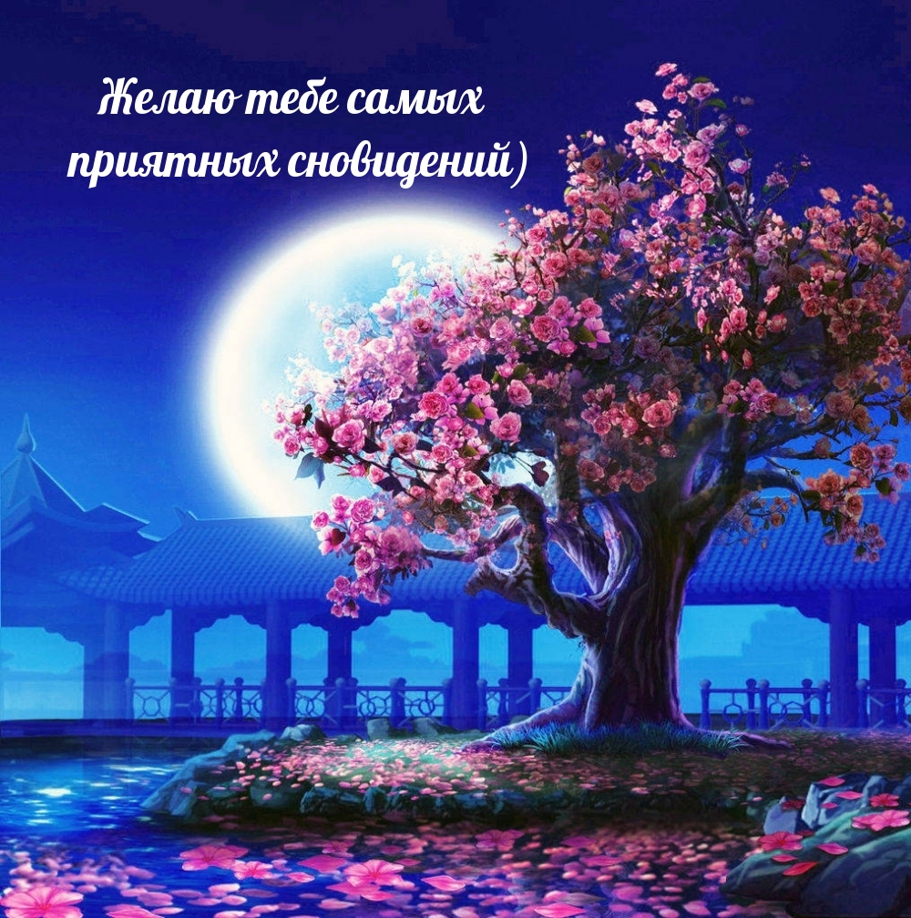 Желаю тебе самых приятных сновидений)