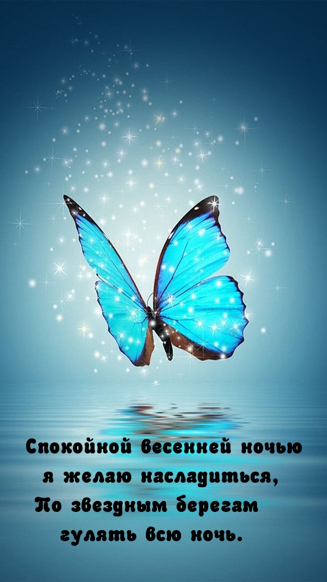 Спокойной весенней ночью я желаю насладится.