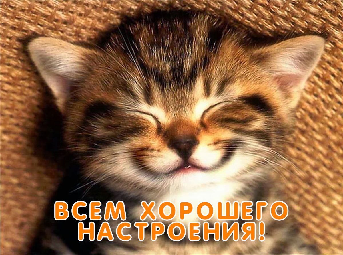 Всем хорошего настроения!