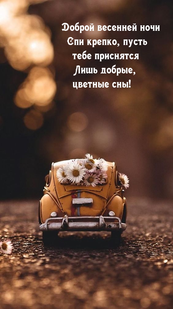 Доброй весенней ночи! Пусть тебе приснятся только цветные сны!
