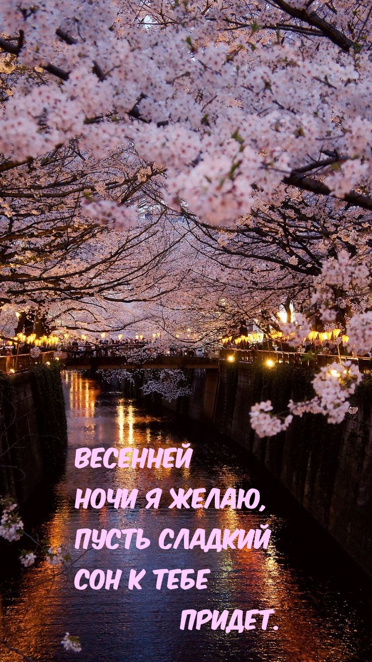 Весенней ночи я желаю, пусть сладкий сон к тебе придет.