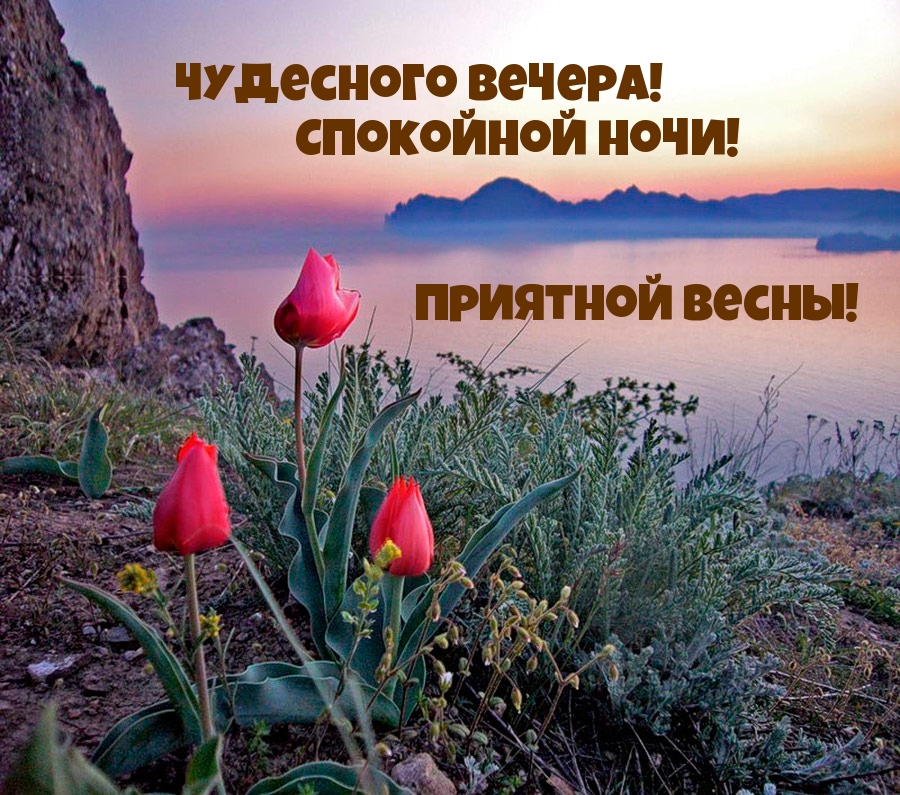 Чудесного вечера! Спокойной ночи! Приятной весны!