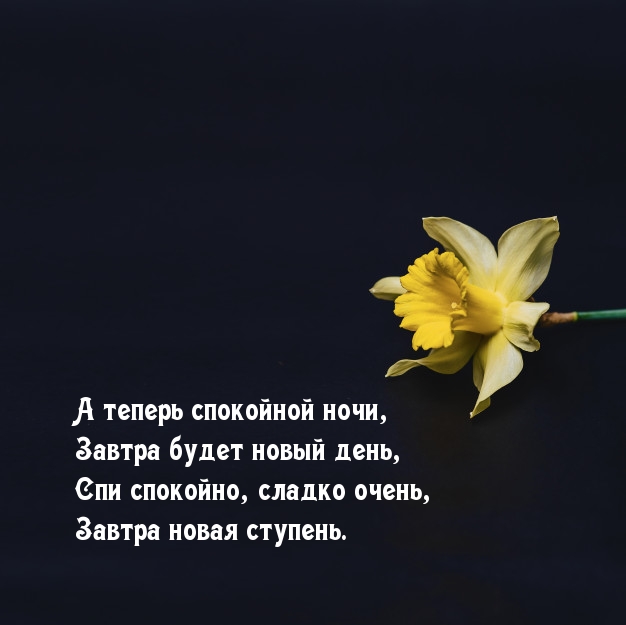 А теперь спокойной ночи, завтра будет новый день.