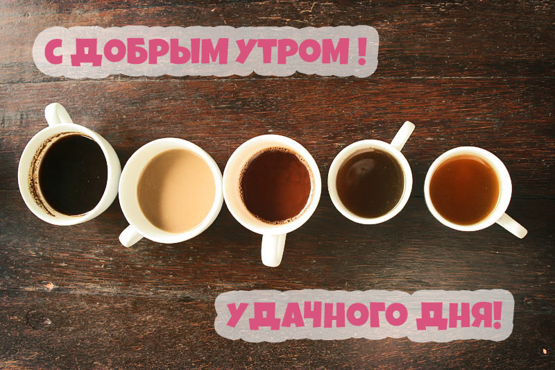 С добрым утром! Удачного дня!