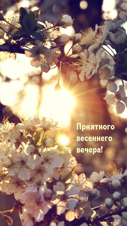 Приятного весеннего вечера!