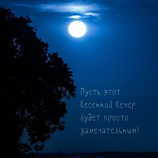 Пусть этот весенний вечер будет просто замечательным!