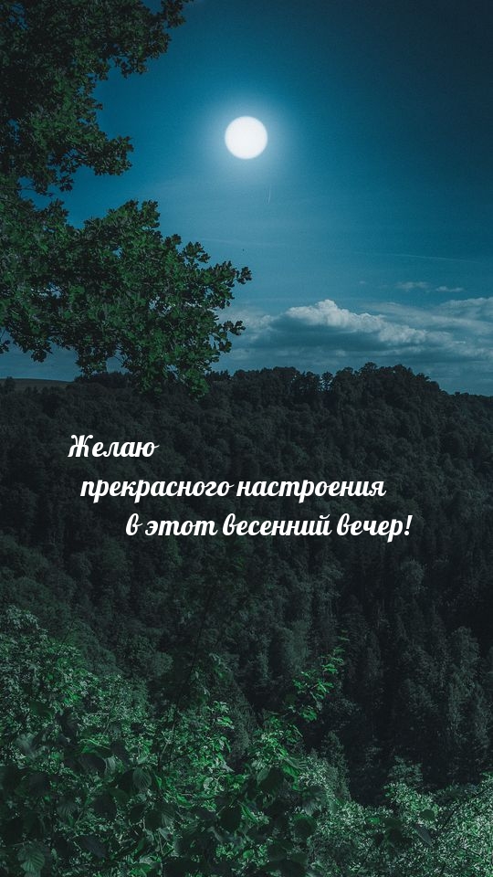 Желаю прекрасного настроения в этот весенний вечер!