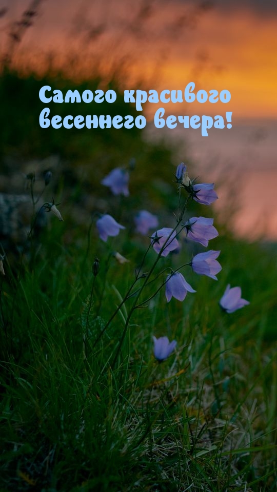 Самого красивого весеннего вечера!