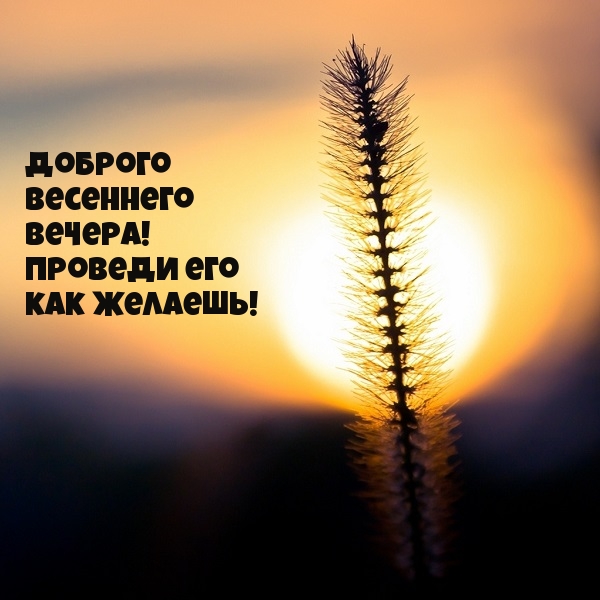 Доброго весеннего вечера! Проведи его как желаешь!