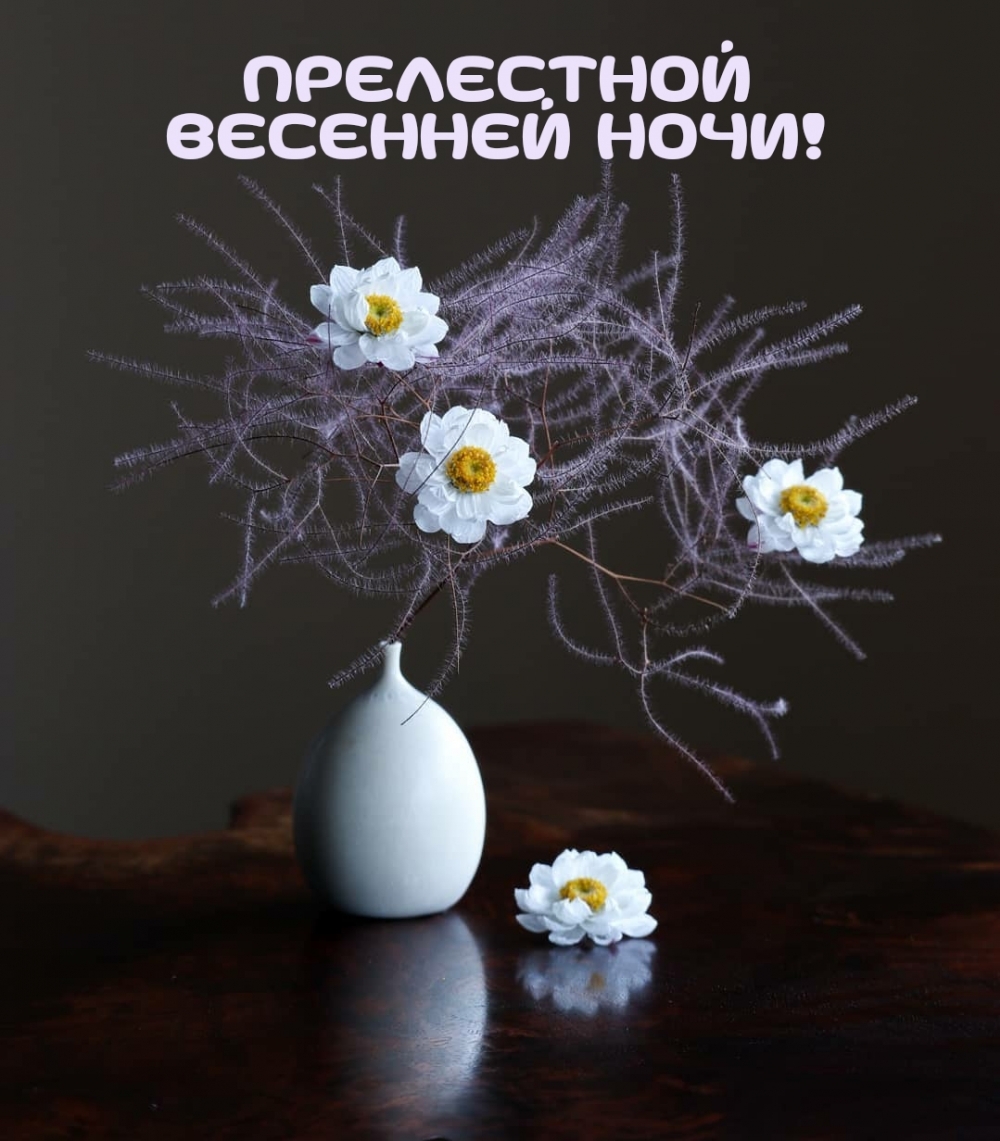 Прелестной весенней ночи!