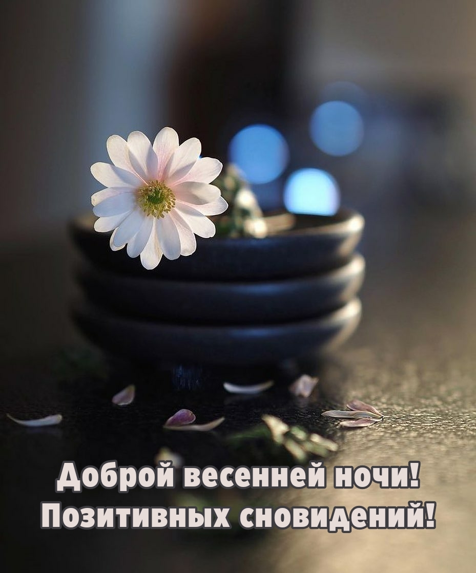 Доброй весенней ночи! Позитивных сновидений!