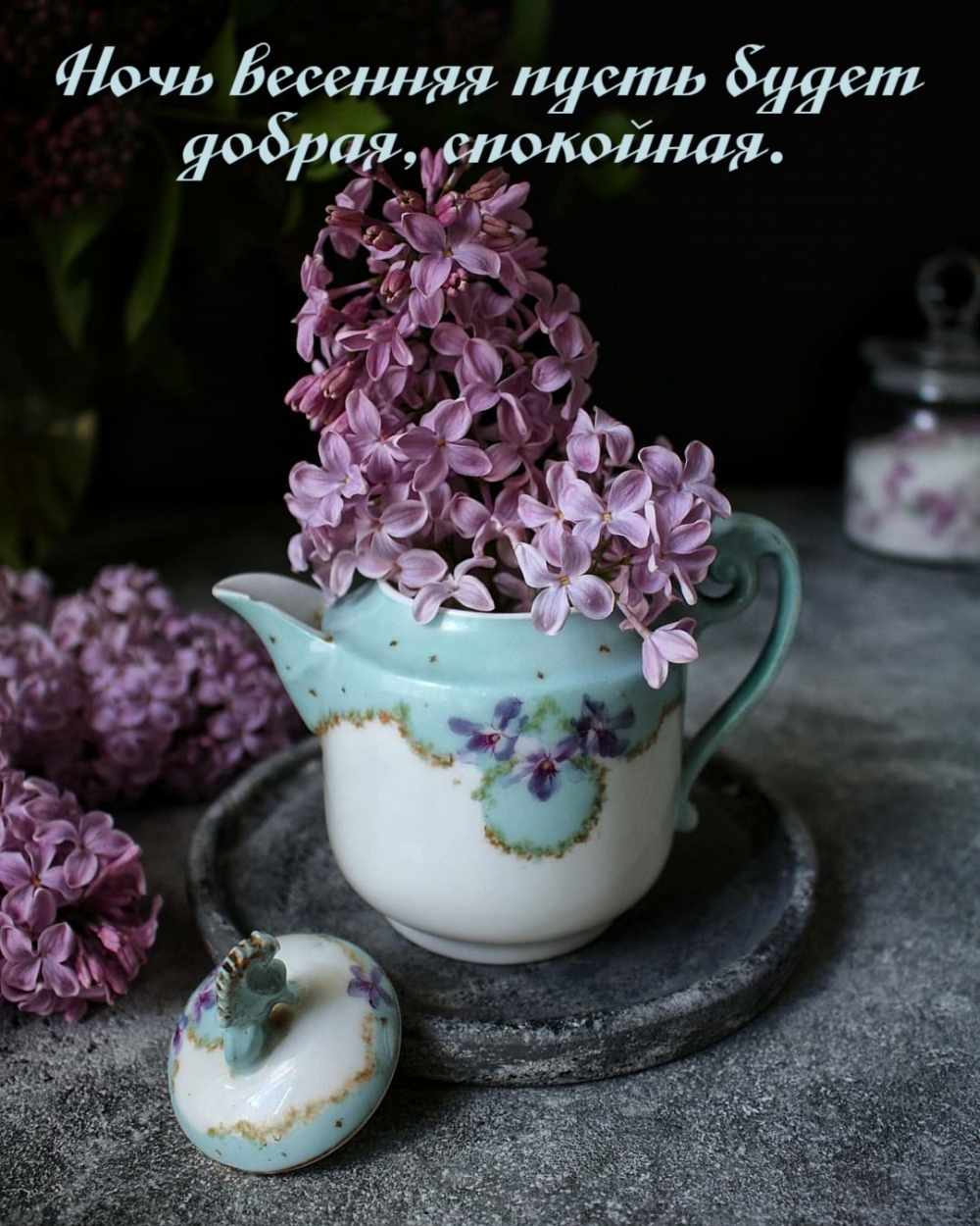 Ночь весенняя пусть будет добрая, спокойная.