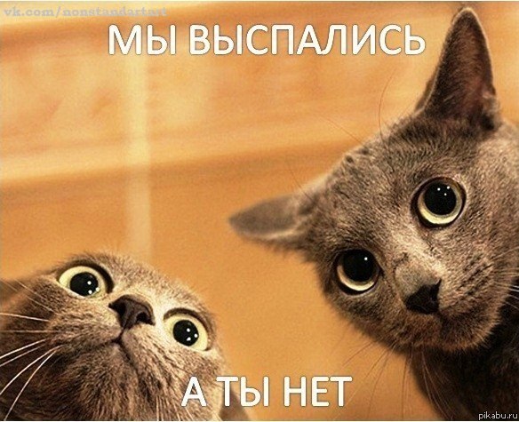 Мы выспались, а ты нет)