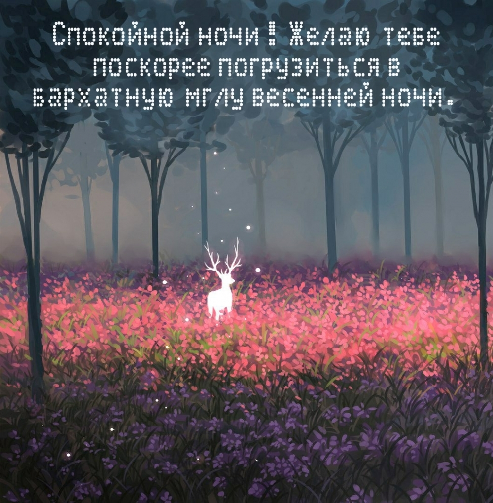Спокойной ночи! Желаю тебе поскорее погрузится в бархатную мглу